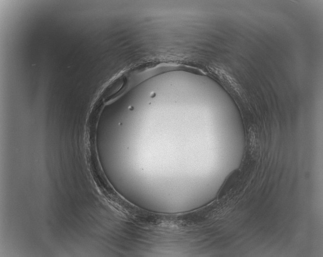 X0000071960684200608041620