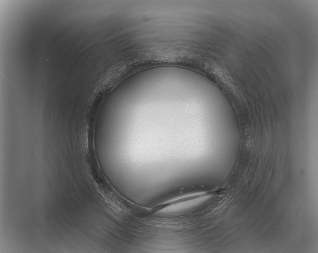 X0000071960685200608041620