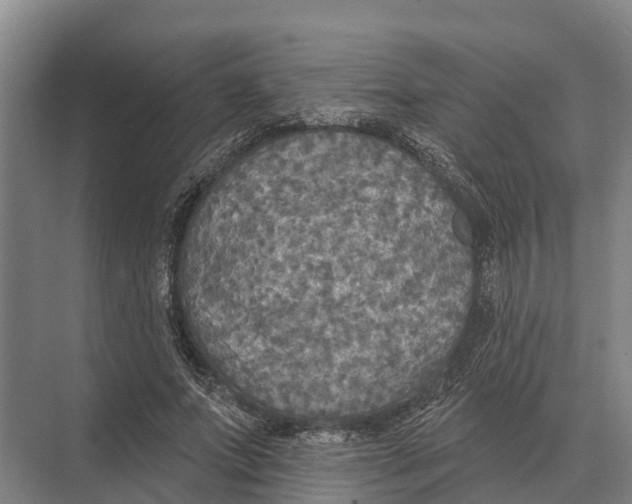 X0000071960687200608041620