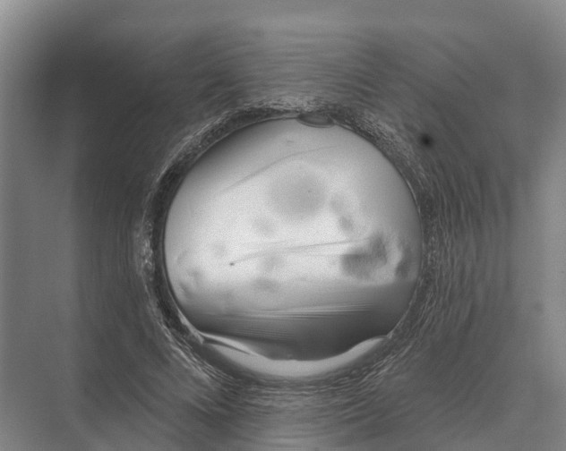 X0000071960688200608041620