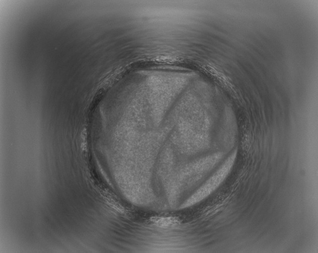 X0000071960689200608041620