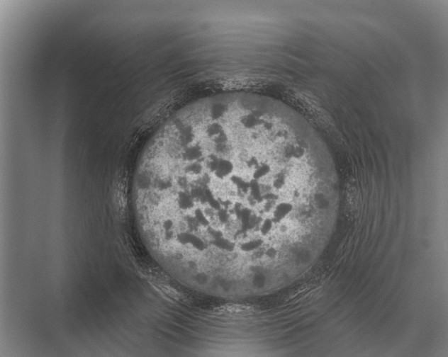 X0000071960691200608041619