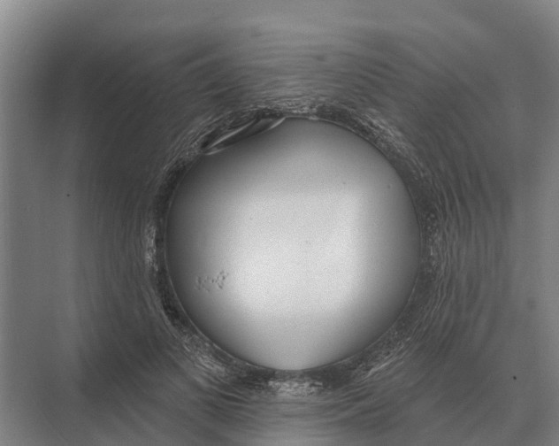 X0000071960693200608041619