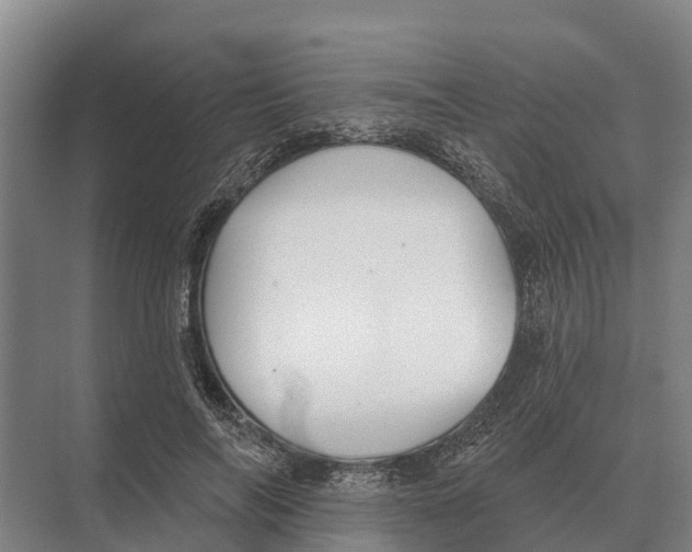 X0000071960694200608041619