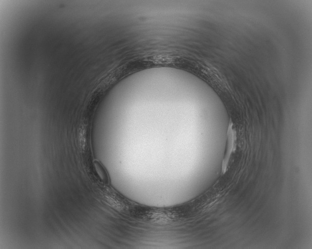 X0000071960697200608041619