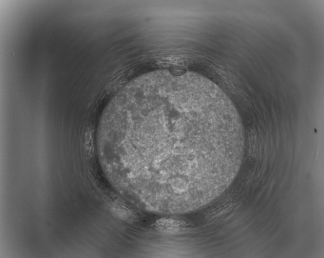 X0000071960699200608041619