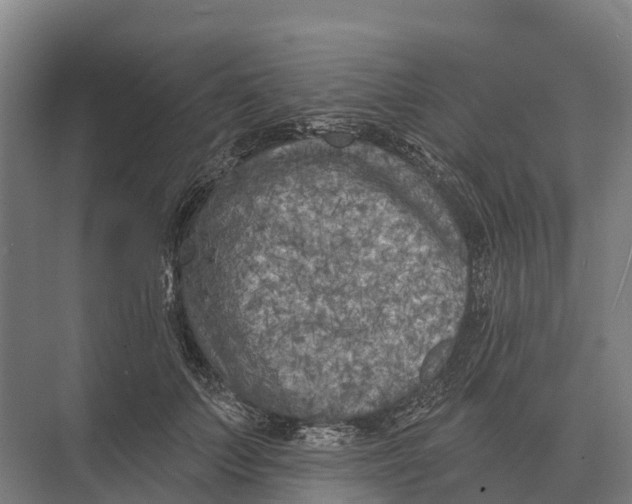 X0000071960703200608041619