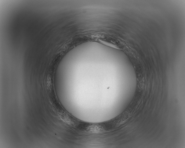 X0000071960704200608041619