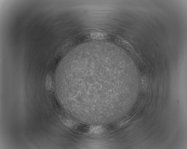 X0000071960705200608041619