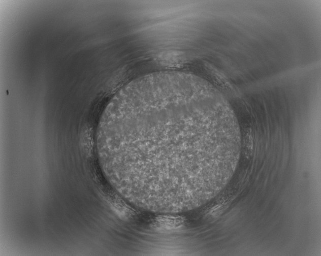 X0000071960707200608041619