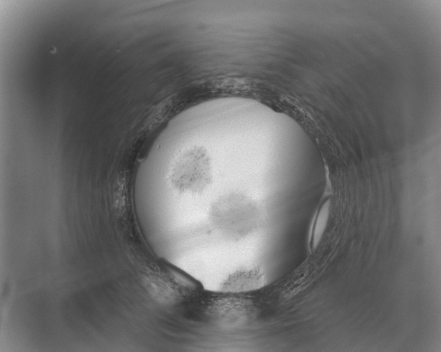 X0000071960708200608041619