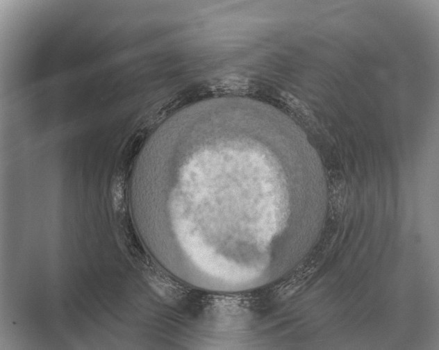 X0000071960709200608041619