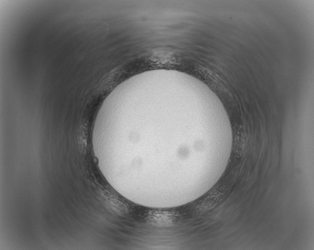 X0000071960710200608041619