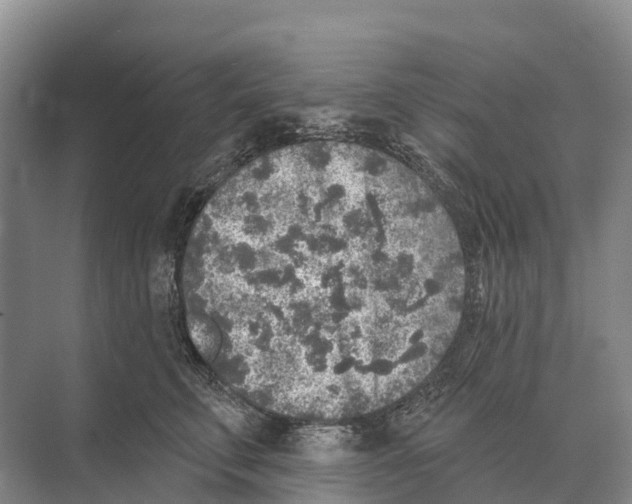 X0000071960711200608041619