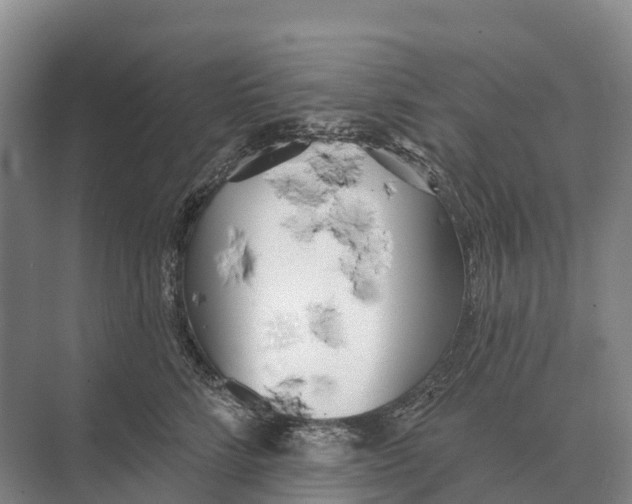 X0000071960712200608041619