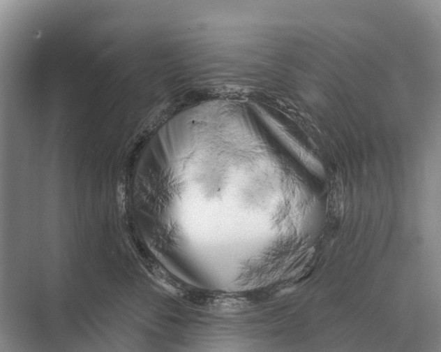 X0000071960716200608041619