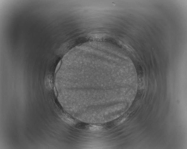 X0000071960718200608041619