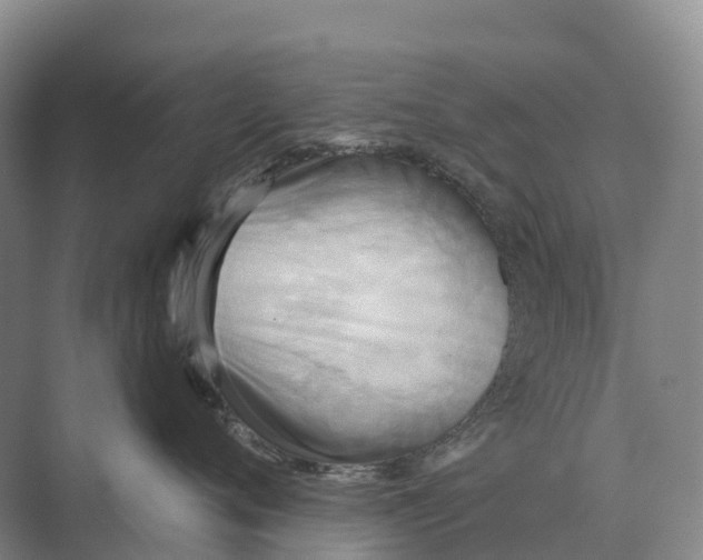 X0000071960720200608041619