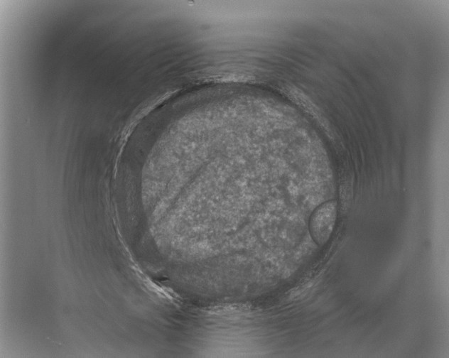 X0000071960721200608041618