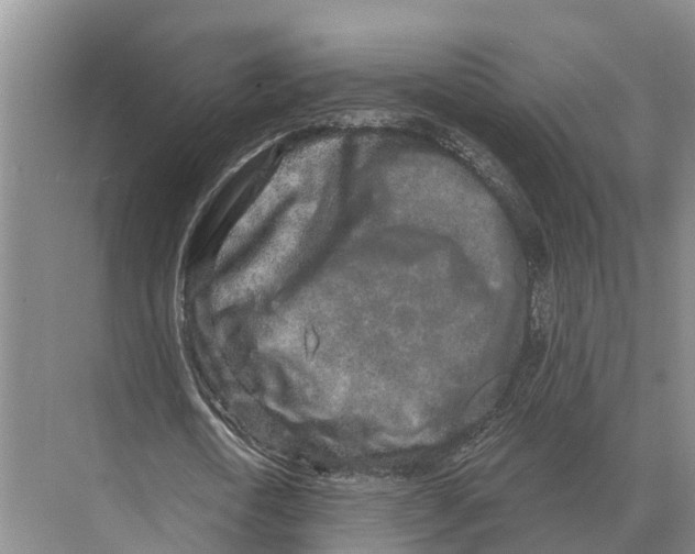 X0000071960722200608041618