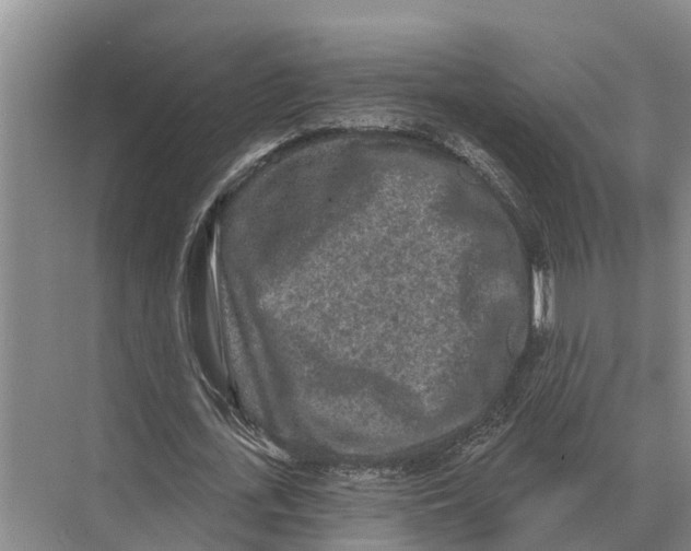 X0000071960723200608041618