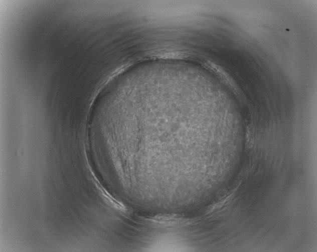 X0000071960725200608041618