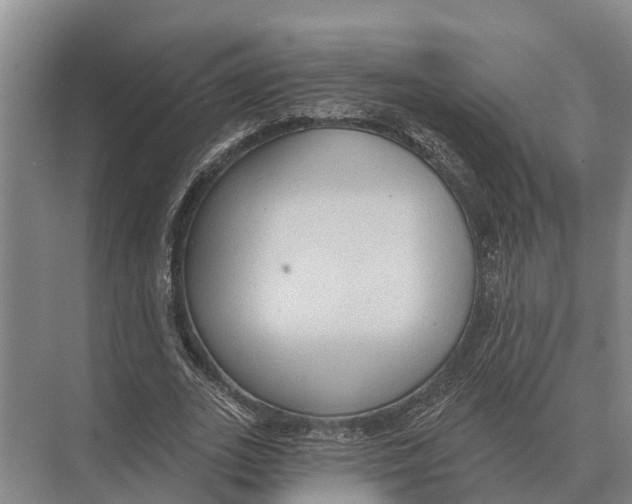 X0000071960727200608041618