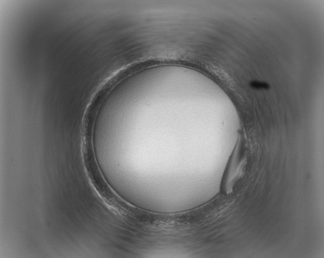 X0000071960728200608041618