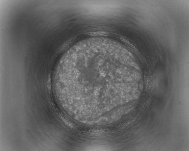 X0000071960729200608041618