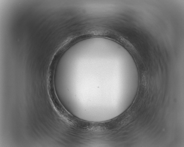 X0000071960730200608041618