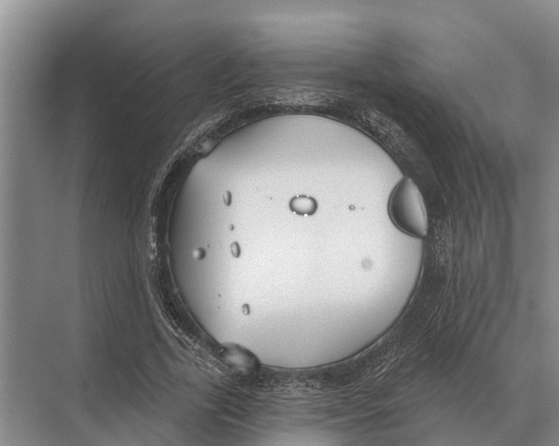 X0000071960731200608041618