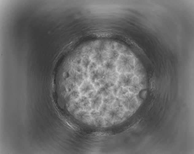 X0000071960733200608041618