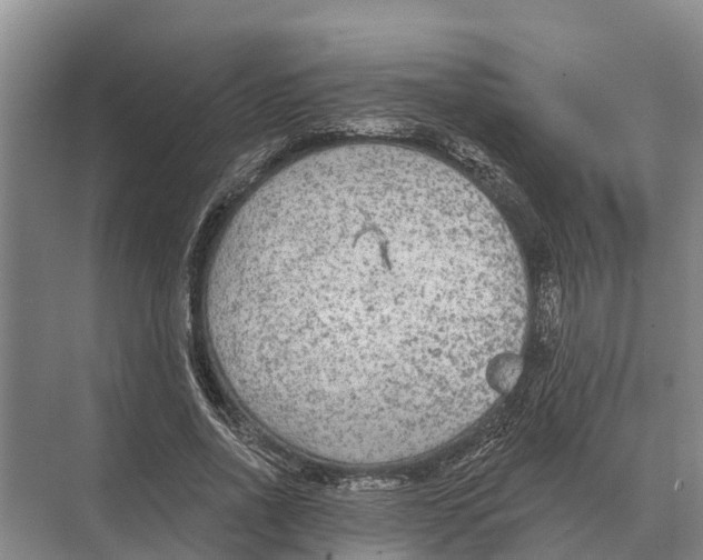 X0000071960734200608041618