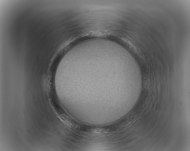 X0000071960736200608041618