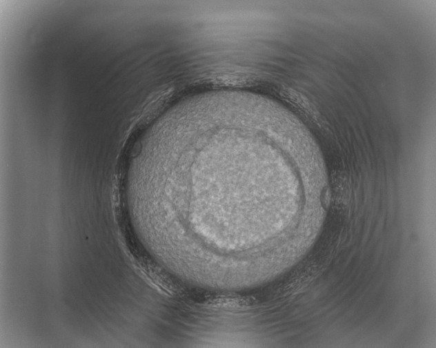 X0000071960738200608041618