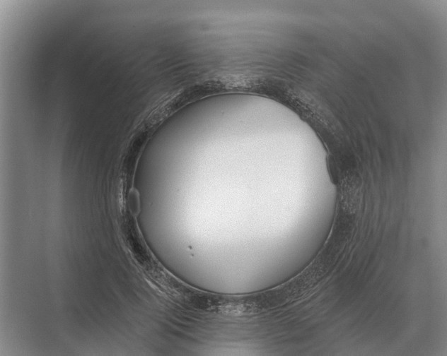 X0000071960740200608041619