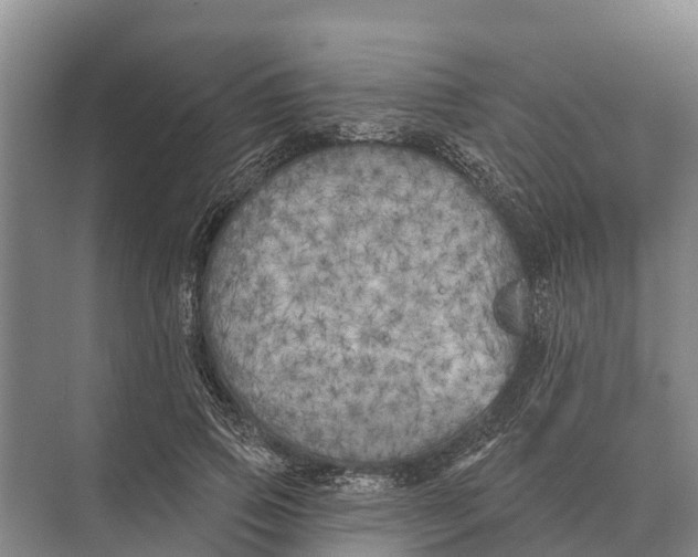 X0000071960741200608041619