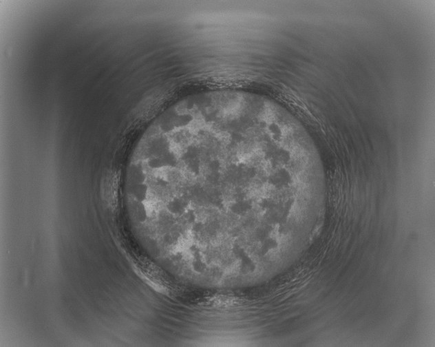 X0000071960742200608041619