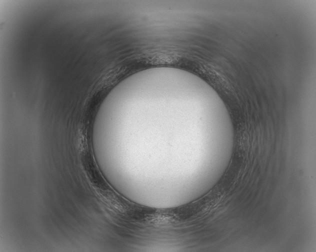 X0000071960743200608041619