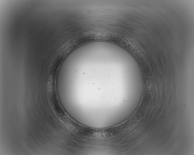 X0000071960744200608041619