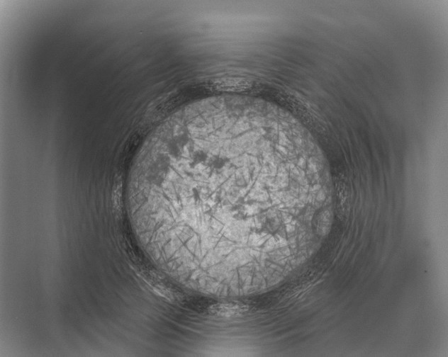 X0000071960745200608041619