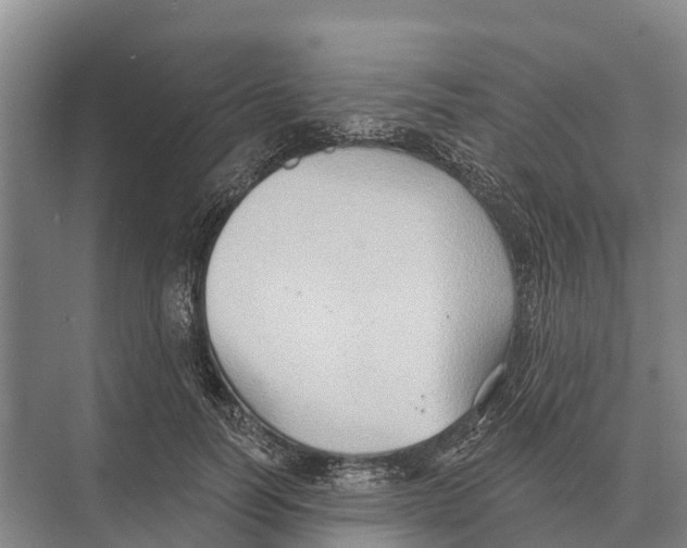 X0000071960746200608041619