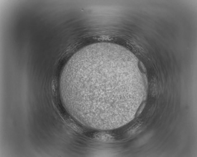 X0000071960747200608041619