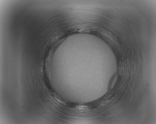 X0000071960748200608041619