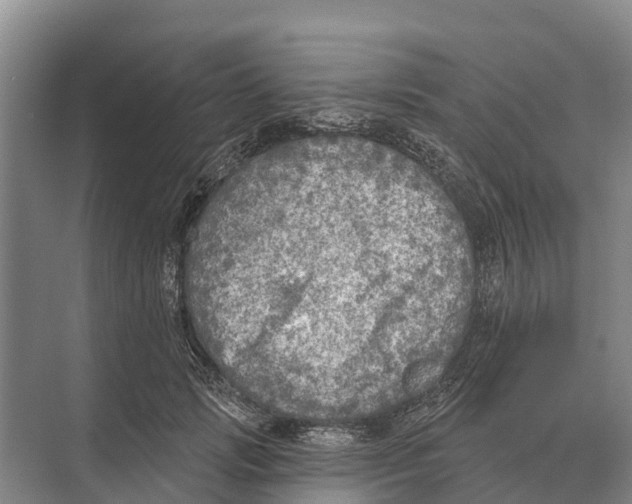 X0000071960749200608041619