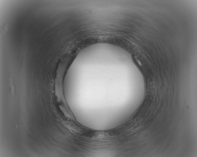 X0000071960750200608041619