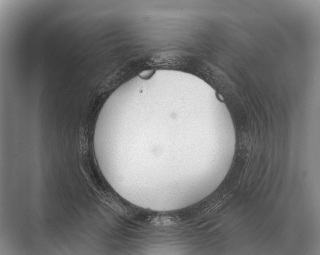 X0000071960751200608041619