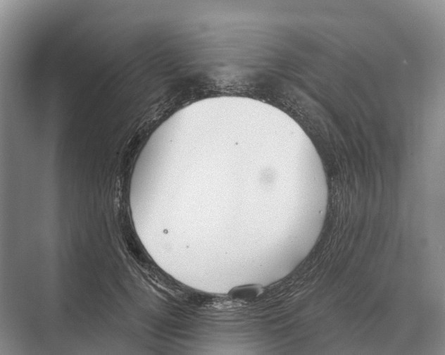 X0000071960752200608041619