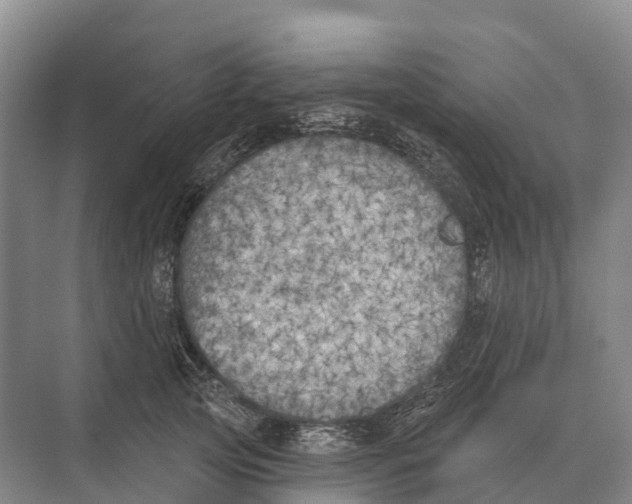 X0000071960753200608041619