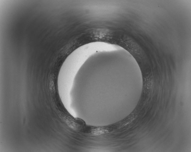 X0000071960754200608041619